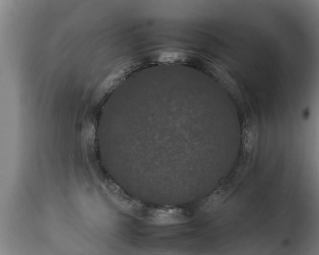 X0000112850375200908281609