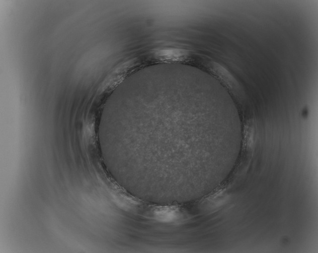 X0000112850377200908281609