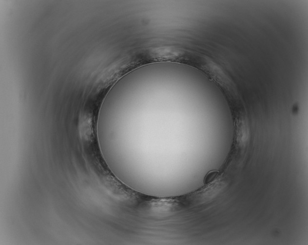 X0000112850378200908281609