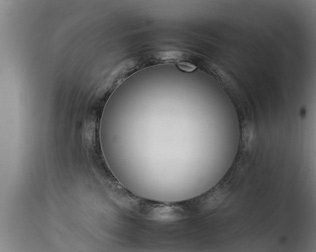 X0000112850379200908281609