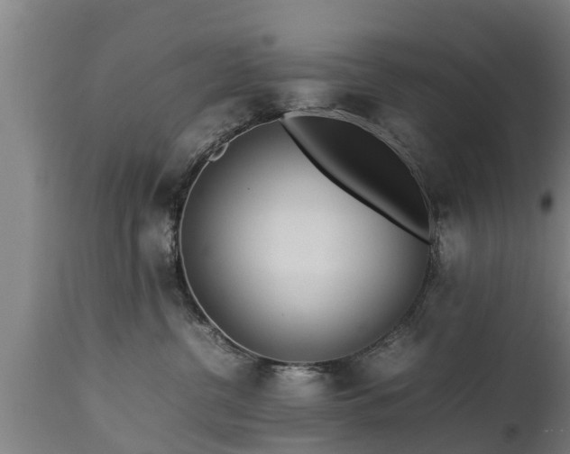 X0000112850380200908281609