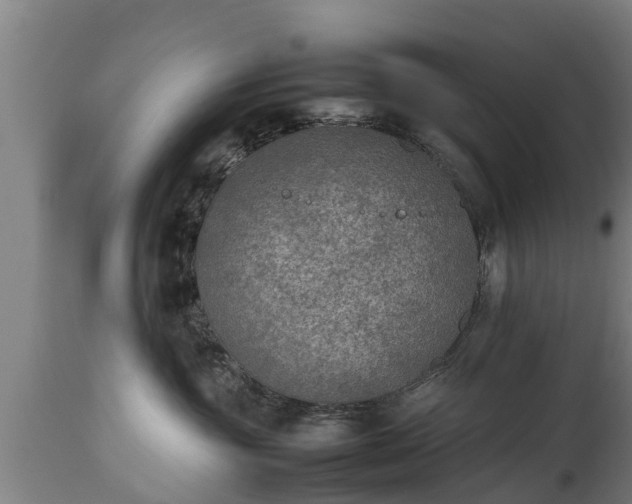X0000112850381200908281609