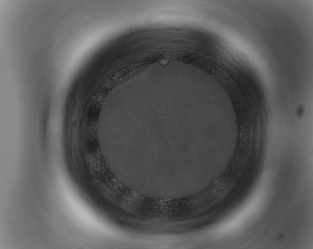 X0000112850383200908281609