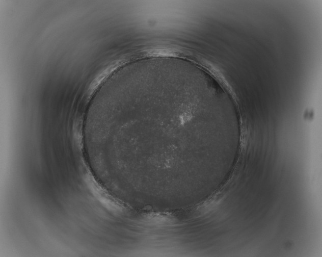 X0000112850386200908281608