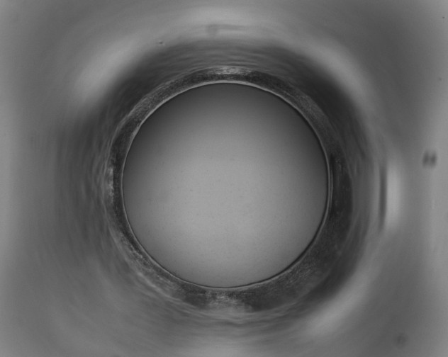 X0000112850387200908281608