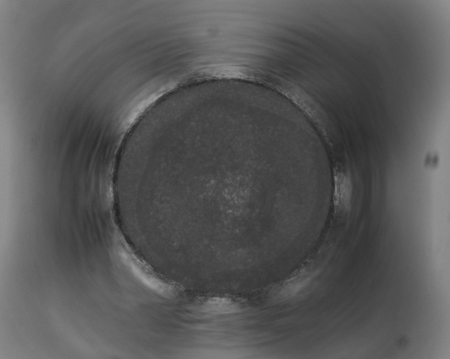 X0000112850390200908281608