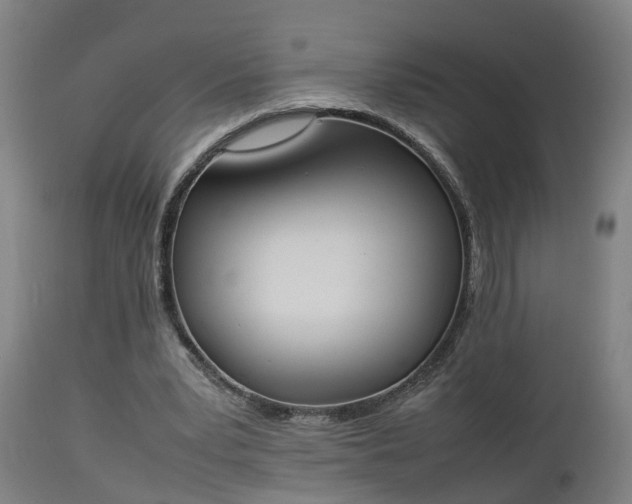 X0000112850391200908281608