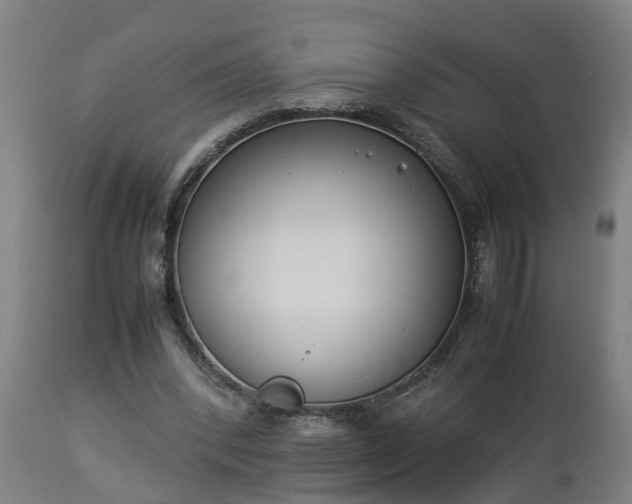 X0000112850392200908281608