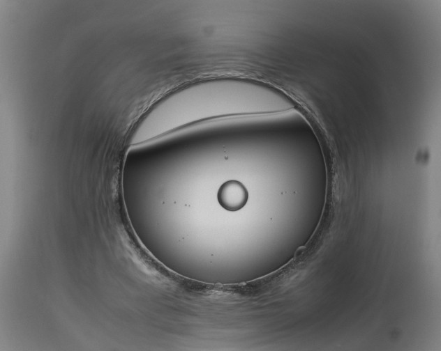 X0000112850393200908281608