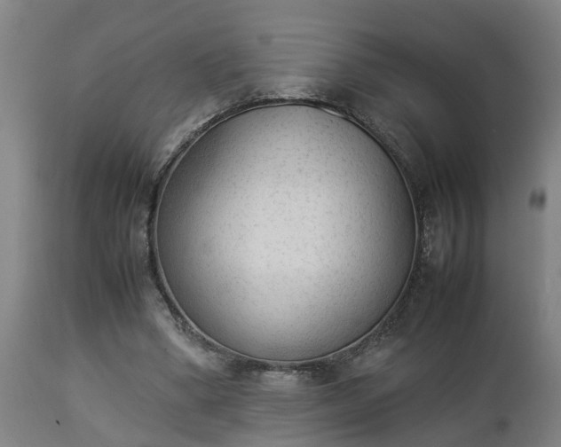 X0000112850394200908281608