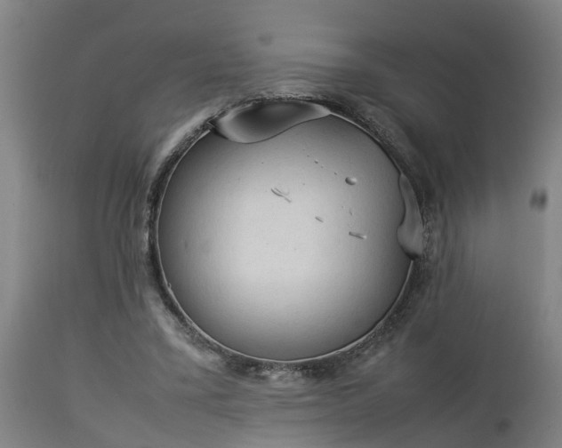 X0000112850395200908281608