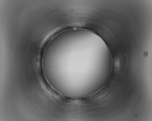 X0000112850396200908281608