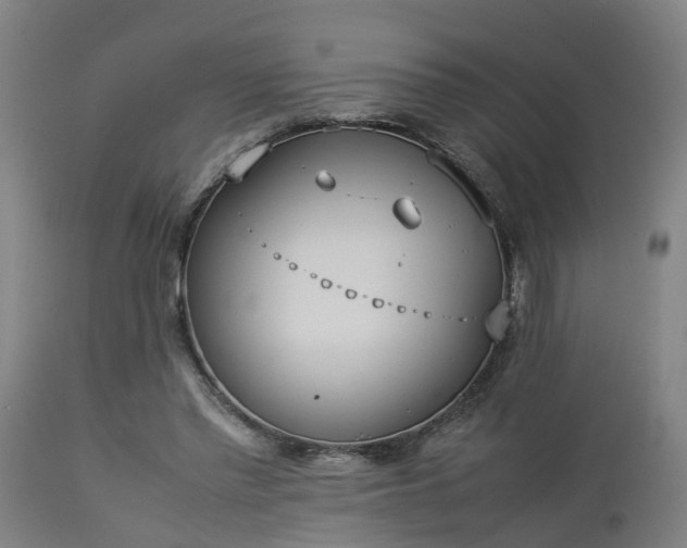 X0000112850397200908281608