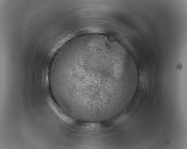 X0000112850398200908281608