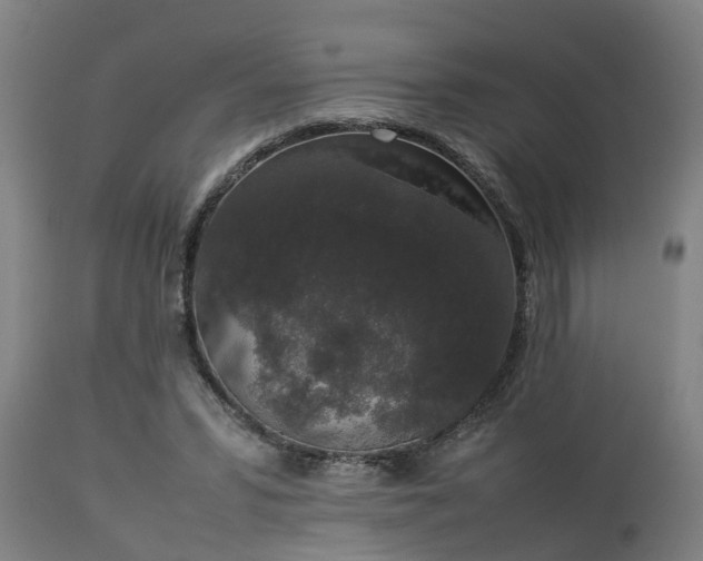 X0000112850399200908281608