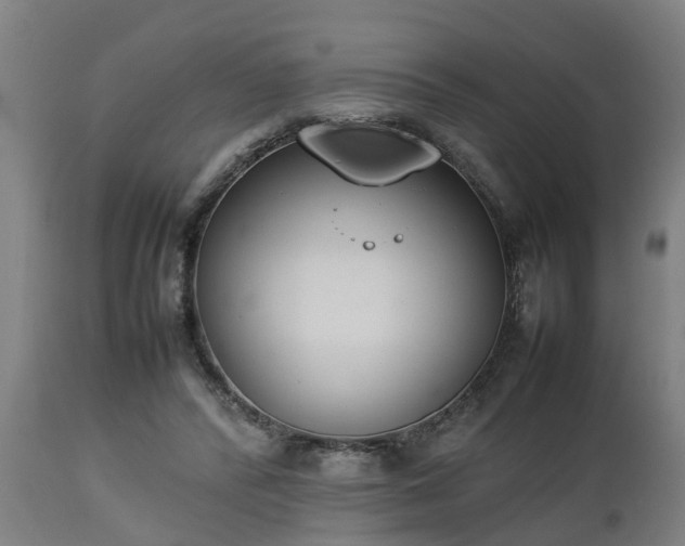 X0000112850400200908281608