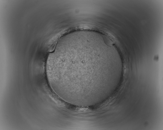 X0000112850401200908281608