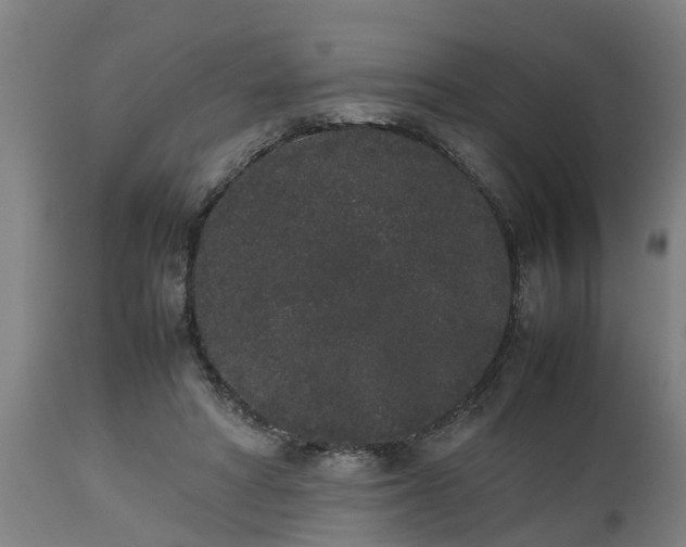 X0000112850402200908281608