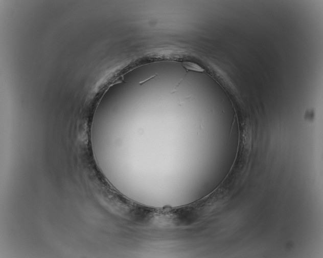 X0000112850403200908281608