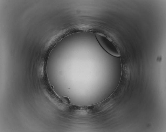 X0000112850404200908281608