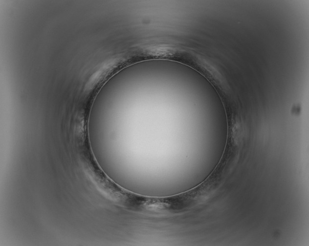 X0000112850407200908281608