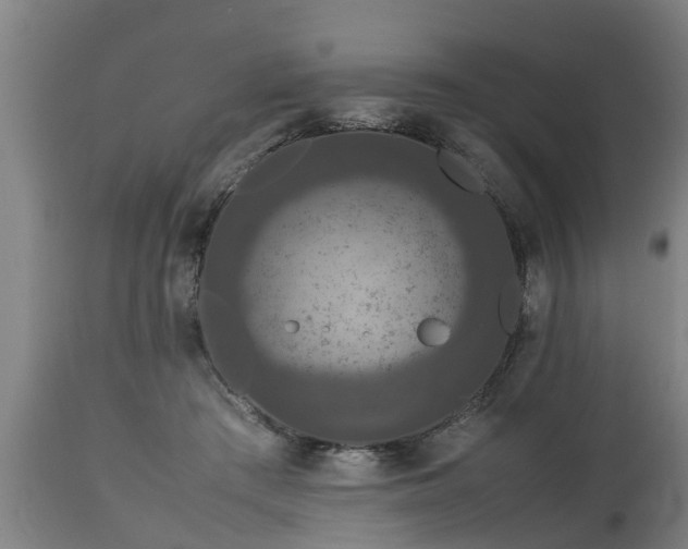 X0000112850409200908281608