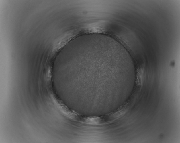 X0000112850410200908281608