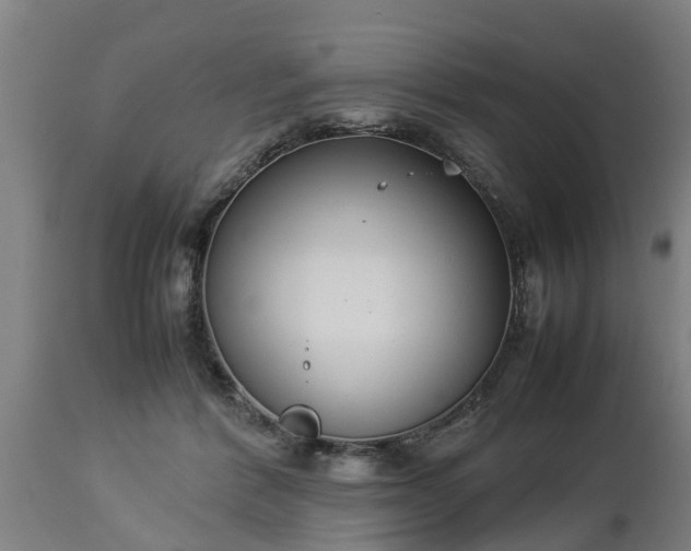 X0000112850412200908281608