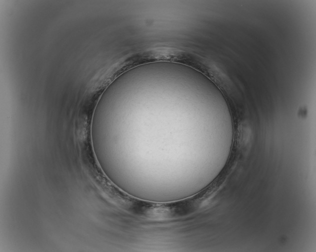 X0000112850413200908281608