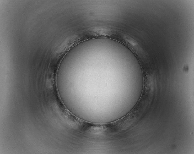 X0000112850414200908281608