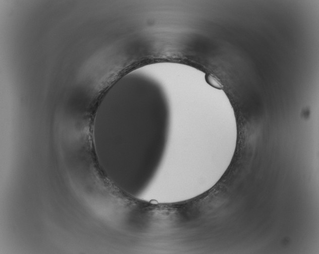 X0000112850415200908281608