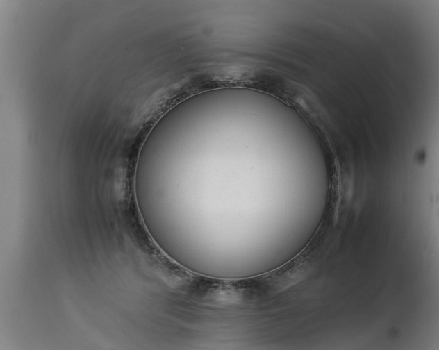 X0000112850416200908281608
