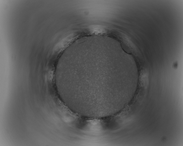 X0000112850417200908281608