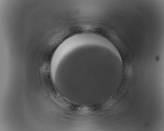 X0000112850419200908281608