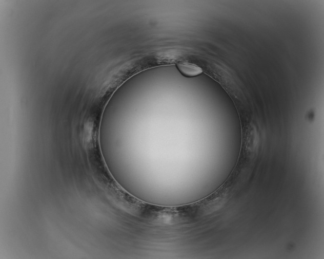 X0000112850420200908281608