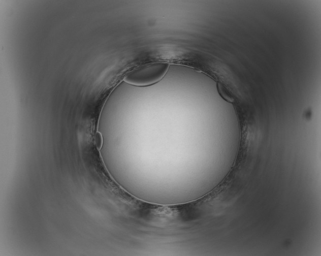 X0000112850421200908281608