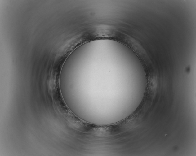 X0000112850422200908281608