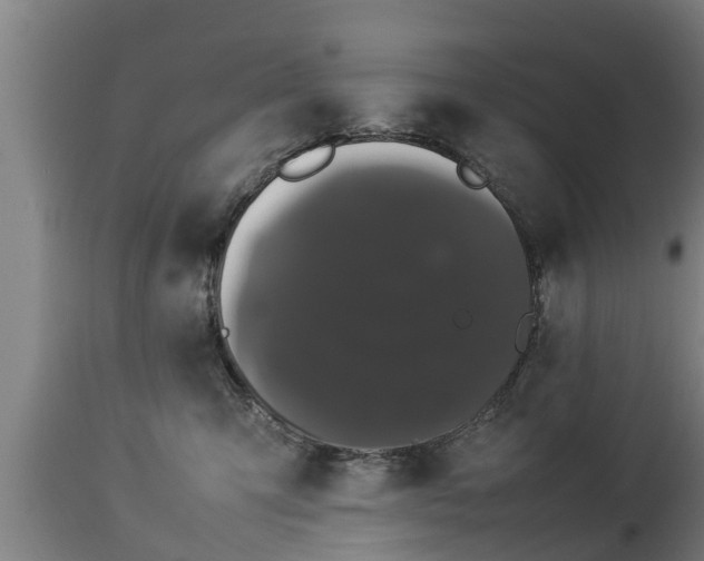 X0000112850423200908281608