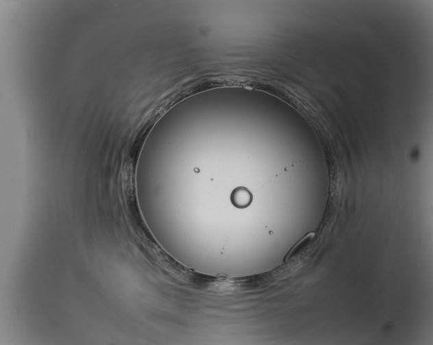 X0000112850425200908281608