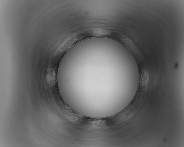 X0000112850426200908281608