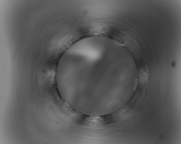X0000112850427200908281608