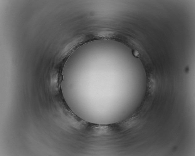 X0000112850428200908281608