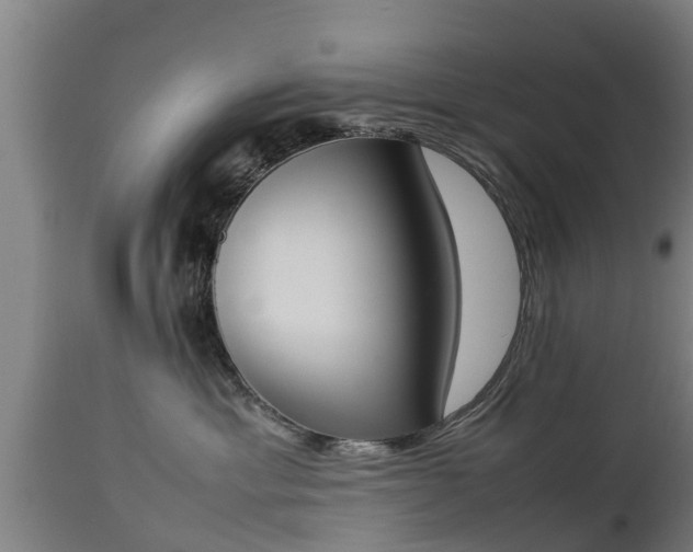 X0000112850429200908281608