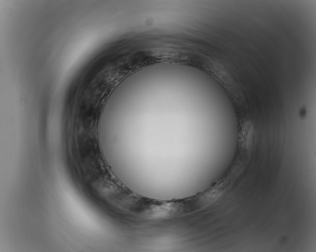 X0000112850430200908281608