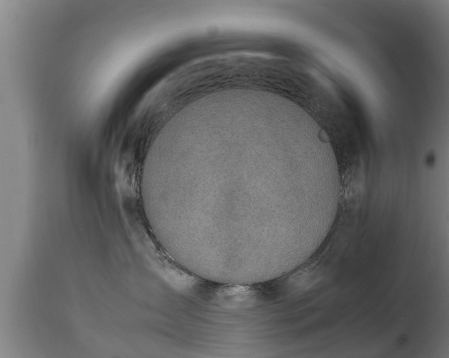 X0000112850431200908281608