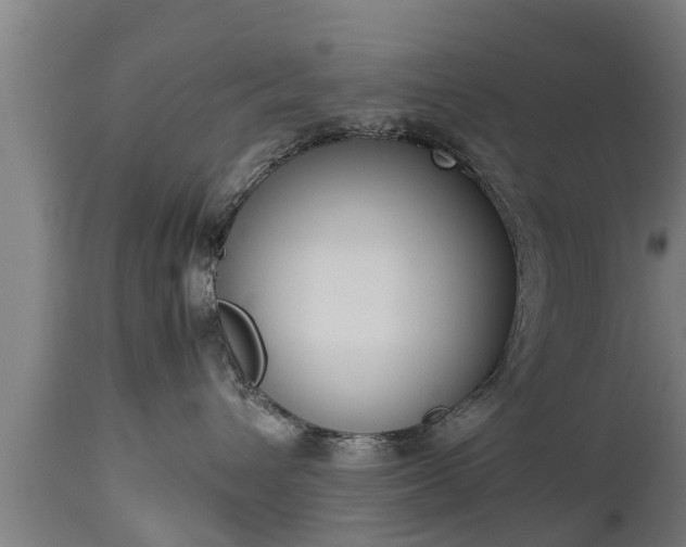 X0000112850432200908281608