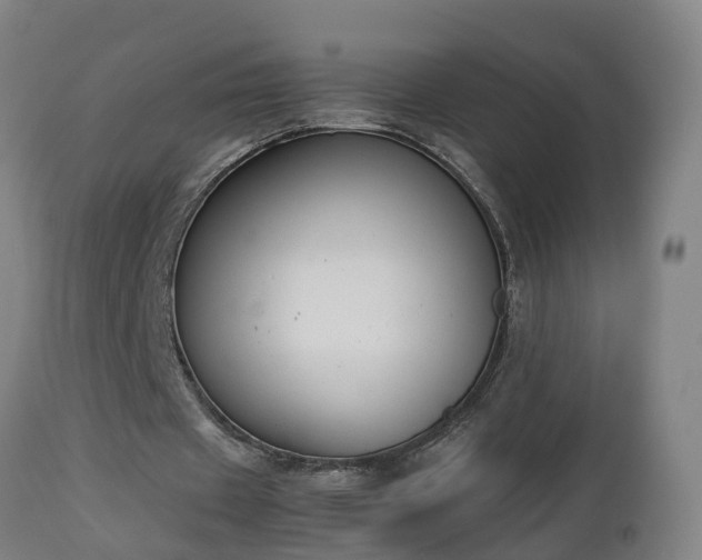 X0000112850433200908281607