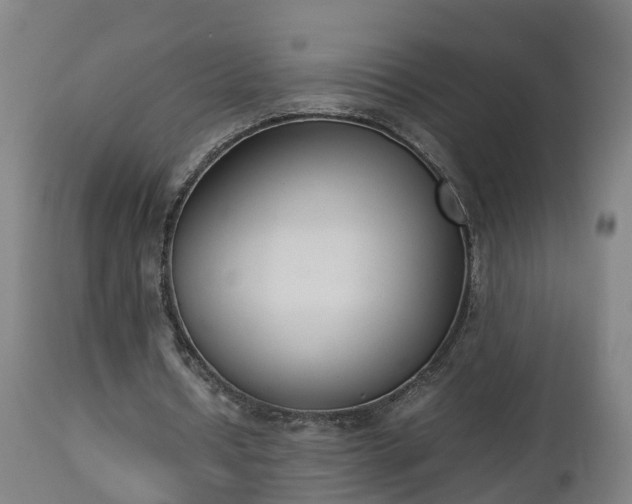 X0000112850434200908281607
