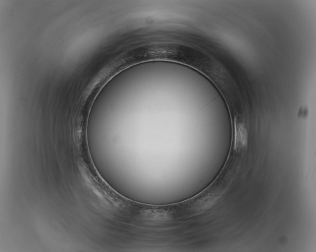 X0000112850435200908281607