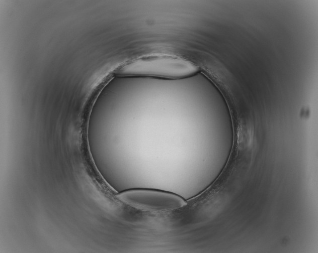 X0000112850436200908281607